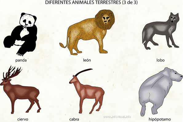 Animales de la tierra (Diccionario visual)